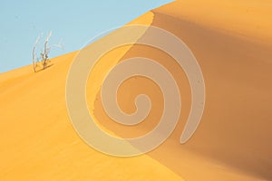 Deserts of Oman