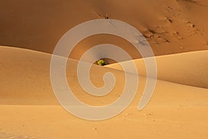 Deserts of Oman