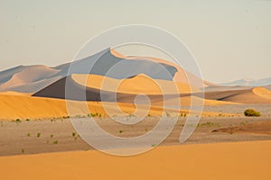 Deserts of Oman