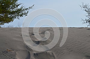 Deserts on the Parangkusumo barchan sandbanks are unique and can be used for sandboarding.