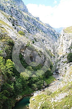 Desfiladero del RÃÂ­o Cares, Cabrales ( Spain )