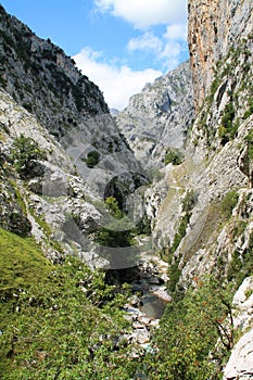 Desfiladero del RÃÂ­o Cares, Cabrales ( Spain )