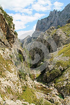 Desfiladero del RÃÂ­o Cares, Cabrales ( Spain )