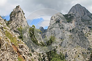 Desfiladero del RÃÂ­o Cares, Cabrales ( Spain )