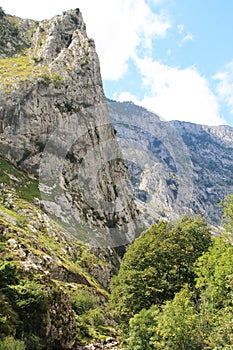 Desfiladero del RÃ­o Cares, Cabrales ( Spain )