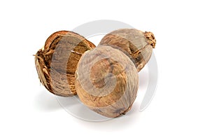 Desiccate coconut on white background