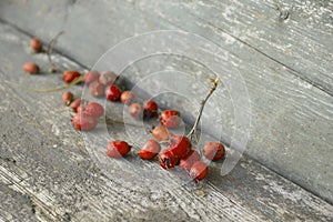Desiccated orange berries on wooden table