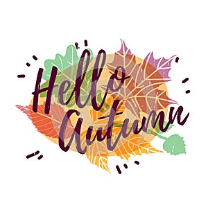 Design autumnal poster, banner and label with Hello Autumn text on modern color silhouette maple leaf and season herb