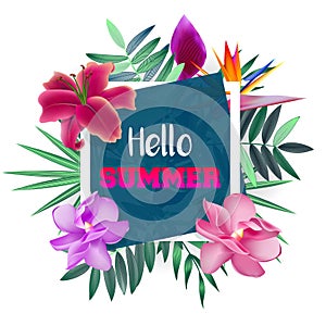 Design banner with Hello Summer logo.