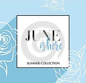 Design banner with lettering June is here logo. Blue Card for spring season with black frame and wthite roses. Promotion offer