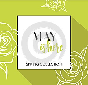 Design banner with lettering May is here logo. Lime green Card for spring season with black frame and wthite roses. Promotion