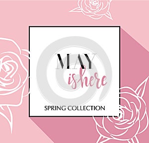 Design banner with lettering May is here logo. Pink Card for spring season with black frame and wthite roses. Promotion offer