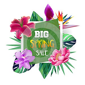 Design banner with Spring Sale logo.