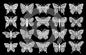 Design black isolated butterfly silhouette set. Graphic insect cutting