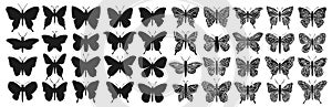 Design black isolated butterfly silhouette set. Graphic insect cutting