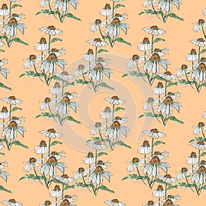 Design chamomile field meadow spring summer flowers seamless pattern on light beige background.Trendy dissipative floral texture