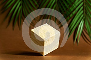 Design concept - geometric real wooden cube with surreal layout on green tropical leaves background