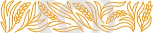 Design element for bakery. Floral ornament. Spikelets and ears of wheat. Editable outline stroke. Vector line.