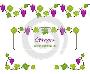 Design elements with bunches of grapes and vines
