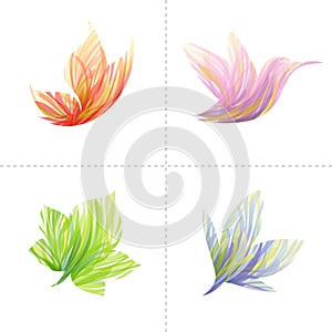 Design elements: butterfly, hummingbird, leaf, flo