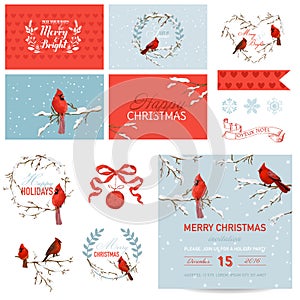 Design Elements - Christmas Birds Theme