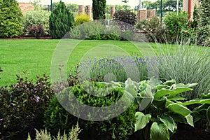 Design of flowering perennials, ornamental grasses and shrubs with a green lawn