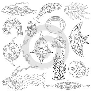 Design graphic set with fish, aquarium and sea weed