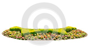 Design hedges cut green tree with colorful flowers bed isolated on white background.