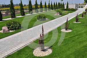 Design of landscaping in the garden, park, square, recreation area