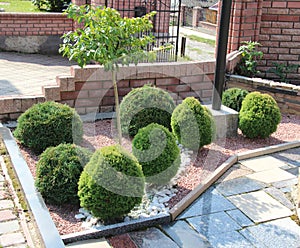 Design of landscaping in the garden, park, square, recreation area