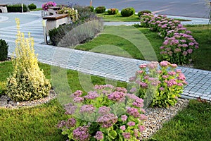 Design of landscaping in the garden, park, square, recreation area