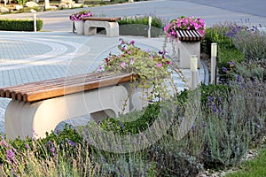 Design of landscaping in the garden, park, square, recreation area