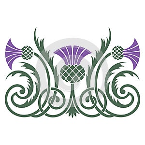 Design of leaves and flowers of the Thistle in Celtic style