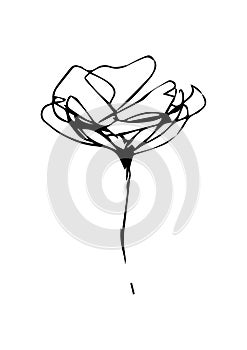 Design with line art flowers