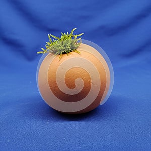 Design and natural elements creating a simple yet striking visual