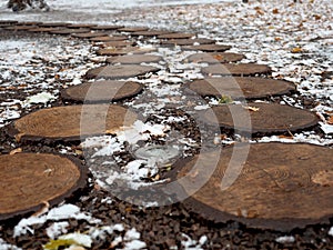 Design path in the park in the fall from round saw cuts of a tree, the fallen-down foliage
