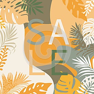 Design promotional banner templates tropical leaves .