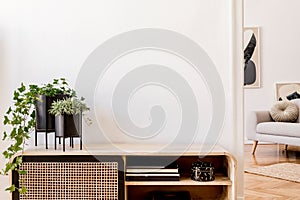 Stylish Scandinavian interior in the modern home. photo