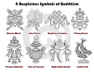 Design set with eight auspicious symbols of Buddhism isolated on white photo