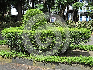 This is design Shivlinga