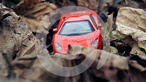 Model of red car, in autumn leaves
