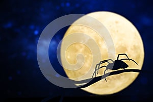 Design of a spider against the moon