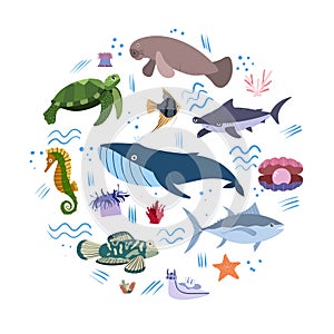 Design template with sea animal in circle for kid print. Round composition of marine animals, turtle and sea horse