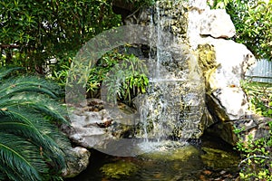 Design waterfall with koi fish pond in the garden