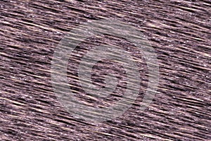 cute techno optic wire pattern computer graphics background or texture illustration