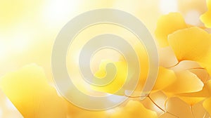 design yellow colorful sun abstract