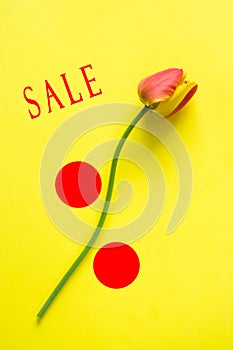 The designation of seasonal discounts. Flower in the form of a percentage on a bright yellow background. Words SALE