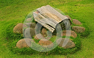 Designed with chopped tree stem in the kodaikanal chettiar park.