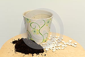 Designed flowerpot, soll and pumpkin seeds on a wooden table with white background ready for gardening