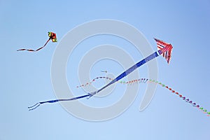 Designed kites of unique patterns and colours